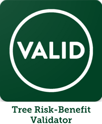 Default Title Tree Risk-Benefit - Validator logo