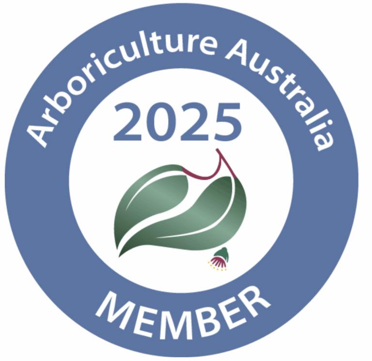 Default Title arb aus 2025 member