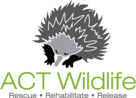 Default Title ACT_Wildlife_Logo_Colour_BIG