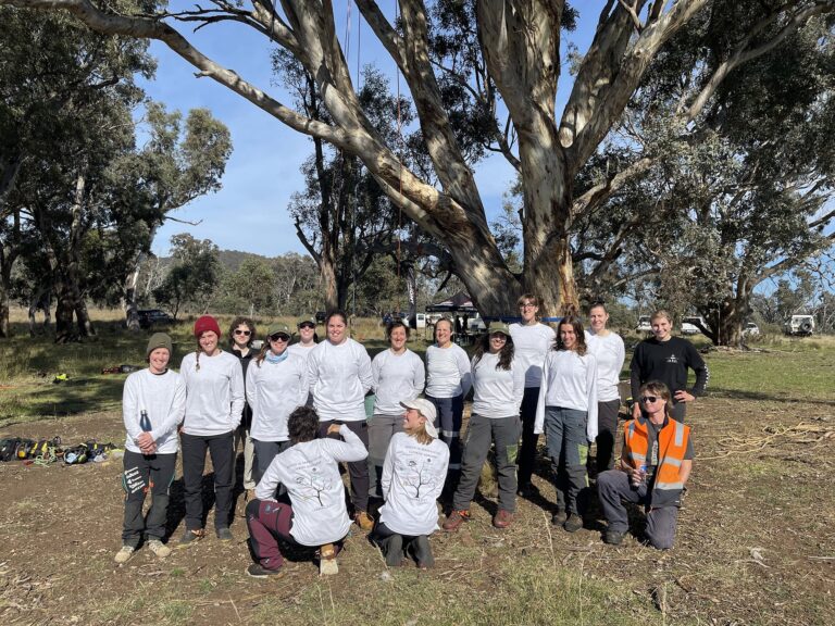 Women in arb workshop Header